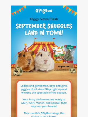 Fetch Pet Products - Piggies Are Going Wild for the September Box