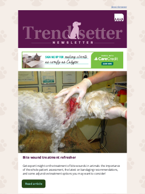 American Animal Hospital Association (AAHA) - Trendsetter 🔎: Bite Wounds, AI Tools & Surgical Timing