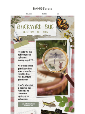 Coming Soon... 🐞🐛🐝