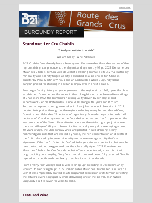 B-21 Fine Wines - Standout 1er Cru Chablis