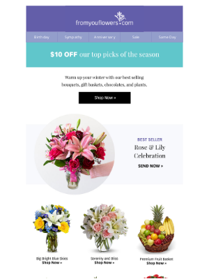 From You Flowers - $10 Off ALL Winter Favorites ❄️