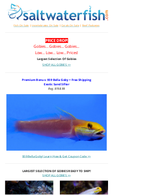 Saltwaterfish - 🐠Gobies Price ⬇️ Drop Gobies... Gobies... Gobies...