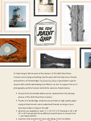 Whalebone - Introducing: The Flow Print Shop