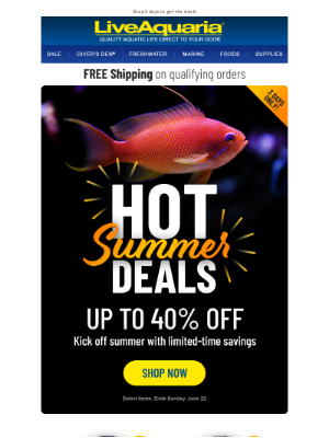 LiveAquaria - 🔥 Summer brings savings up to 40%