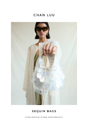 chanluu.com - Just In: Sequin Bags