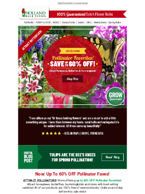Holland Bulb Farms - Buzz-worthy Deals 🐝 60% OFF Pollinator Faves!