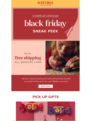 ecommerce business Black Friday email by Burt's Bees