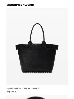 Alexander Wang - the new work bag​