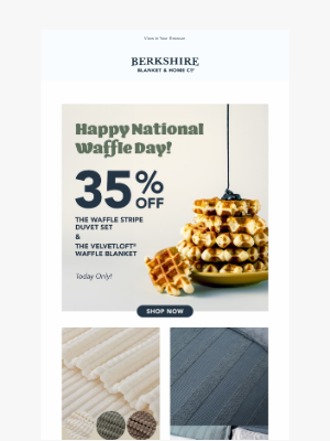 Berkshire Blanket - A Delicious Flash Sale 😋