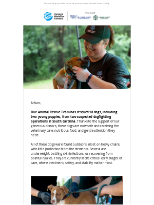 Humane Society of the United States - Give hope to dogfighting survivors