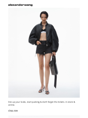 Alexander Wang - headliners for your suitcase