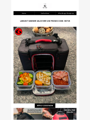 6 Pack Bags - 💪LARGEST SUMMER SALE EVER!!