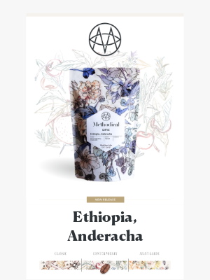 Methodical Coffee - ☕️ New Release: Ethiopia, Anderacha 🇪🇹