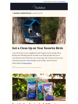 National Audubon Society - The Bird Days of Summer Are Here ☀️