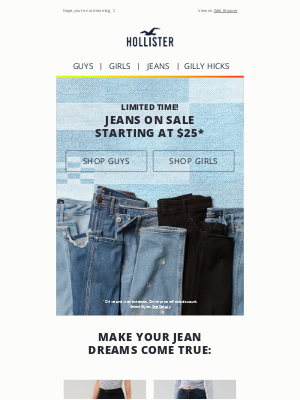 hollister jean co
