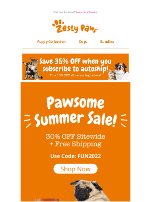 Zesty Paws - Paw-some Summer Savings!✨✨