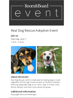Room & Board - Reminder! Meet adoptable dogs from Real Dog Rescue