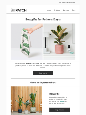 Patch Plants (UK) - Don't forget Father's Day 👀