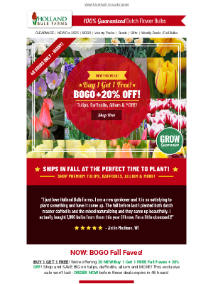 Holland Bulb Farms - 🔥 20 NEW Fall BOGO Flower Faves Just Added!