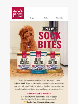 The Honest Kitchen - ✨NEW✨ Stinkin' Sock Bites for Your Pup!