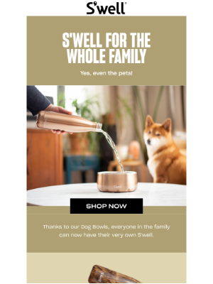 S'well Bottle - It's About Time Your Pets Got Their Own S'well