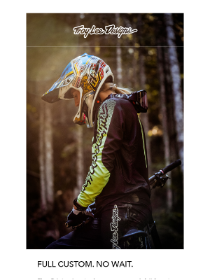 Troy Lee Designs - D4 Helmets — Factory Custom, Race Proven