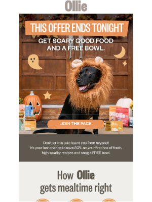 Ollie - Last chance for 60% off + a FREE bowl