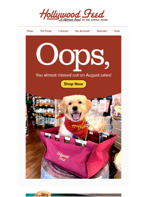 Hollywood Feed - Oops, You Almost Missed Out On August Sales! ⌛