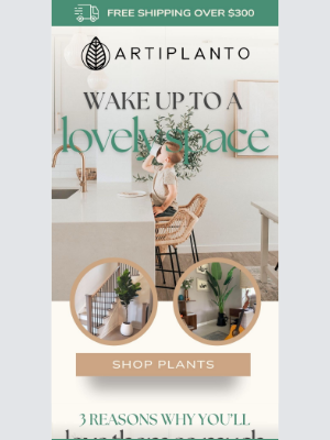 artiplanto - Wake Up To A Lovely Space artiplanto 😍