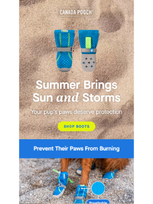 Canada Pooch - Summer-Proof Your Pup's Paws 🐾