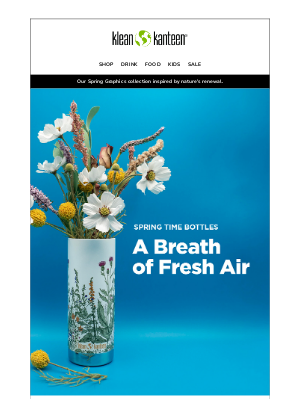 Klean Kanteen - A Breath of Fresh Air — Spring Graphics Bottles