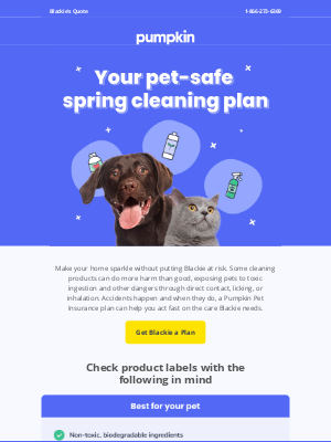 Related Email 1