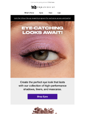 Urban Decay - Lasting Eye Looks, All Day Long