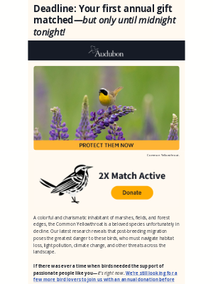 National Audubon Society - [MATCH DEADLINE] If there was ever a time when birds needed the support of passionate people like you—it’s right now
