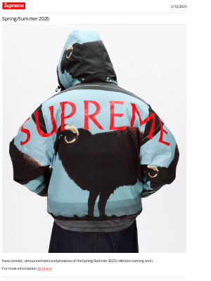 Supreme - Spring/Summer 2025