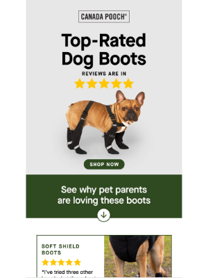 Canada Pooch - Pet Parent Favorites: Approved Styles Await!