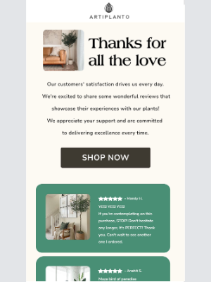artiplanto - What People Are Saying… ⭐️