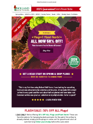 Holland Bulb Farms - FLASH SALE ⚡ 50% OFF ALL Plugs & Plant Starts!