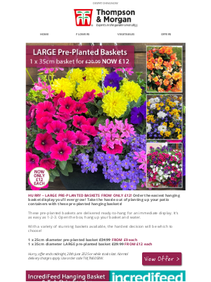 Thompson & Morgan (United Kingdom) - LARGE Pre-Planted Hanging Baskets ONLY £12 EACH!
