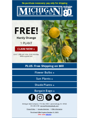 Michigan Bulb Co. - 🍊 Get your Hardy Orange tree absolutely free!