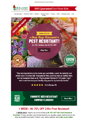 Holland Bulb Farms - 200+ Pest Resistant 🐇 ALL 40-70% OFF!