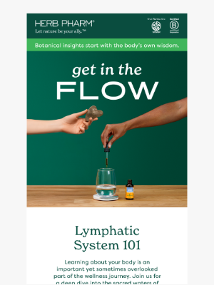 Herb Pharm - Show your lymph some love 💦