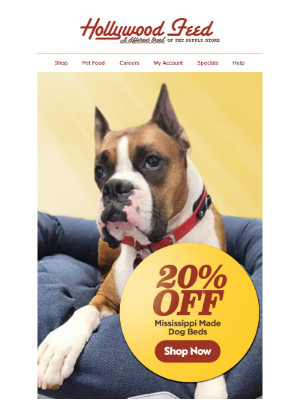 Hollywood Feed - Shop Beds on Sale! 😴