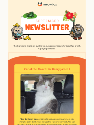 meowbox - Giveaway alert! Shop Cats of New York 🗽