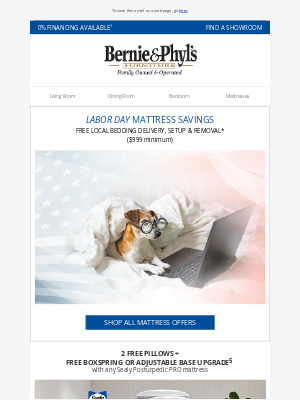 Bernie & Phyl's Furniture - 2 Free Pillows Plus Free Boxspring or Adjustable Base Upgrade 🛌🏻
