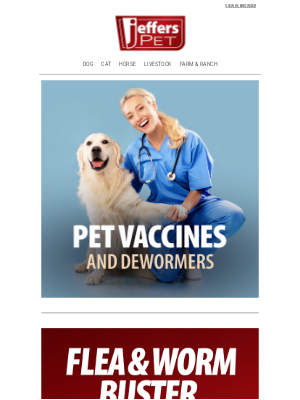 Jeffers Pet Supplies - Keep Your Pups Protected With Jeffers