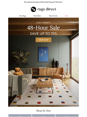 Rugs Direct - Shop By Size Or Style >