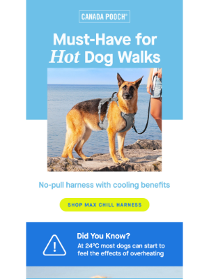 Canada Pooch - Dogs start to overheat at this outside temp° ☀️➡️