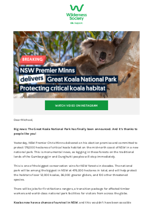 The Wilderness Society - HUGE win for koalas! 🐨