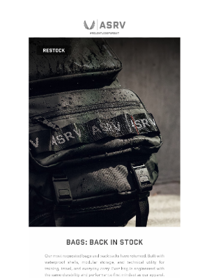 Aesthetic Revolution - RESTOCK: BAGS, BACKPACKS, CHEST PACKS